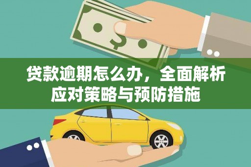 镇康贷款逾期怎么办，全面解析应对策略与预防措施