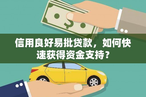 镇康信用良好易批贷款，如何快速获得资金支持？