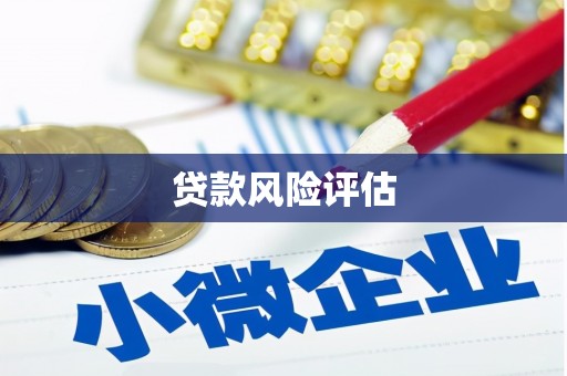 镇康贷款风险评估