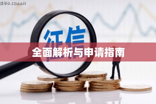 镇康全面解析与申请指南