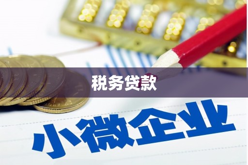 镇康税务贷款