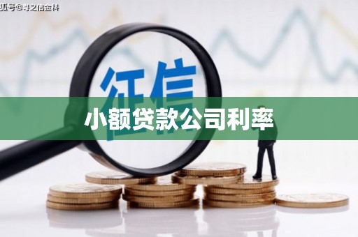 镇康小额贷款公司利率