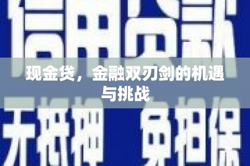 镇康现金贷，金融双刃剑的机遇与挑战