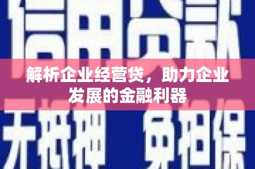 镇康解析企业经营贷，助力企业发展的金融利器