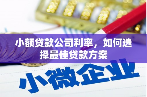 镇康小额贷款公司利率，如何选择最佳贷款方案