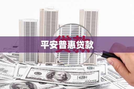 镇康平安普惠贷款