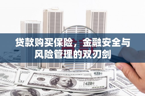 镇康贷款购买保险，金融安全与风险管理的双刃剑