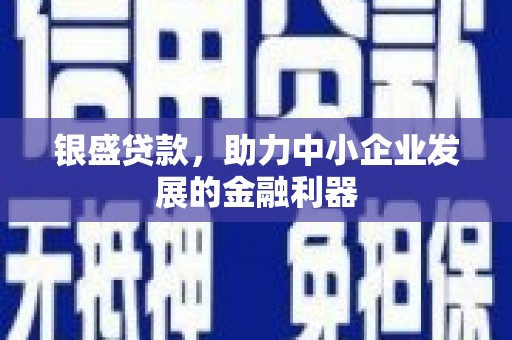 镇康银盛贷款，助力中小企业发展的金融利器