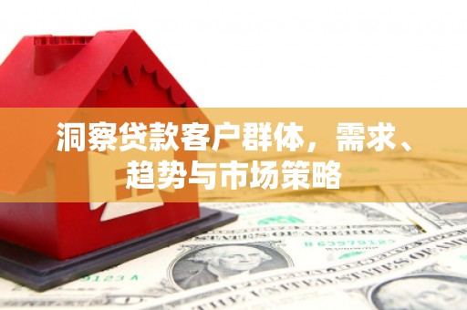 镇康洞察贷款客户群体，需求、趋势与市场策略