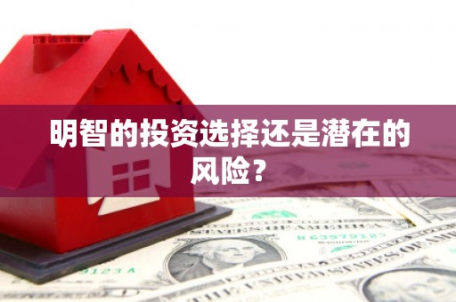 镇康明智的投资选择还是潜在的风险？