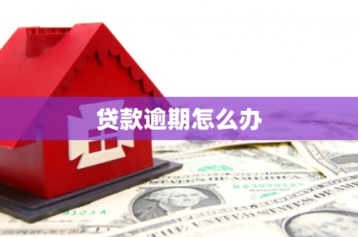 镇康贷款逾期怎么办