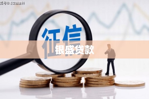 镇康银盛贷款