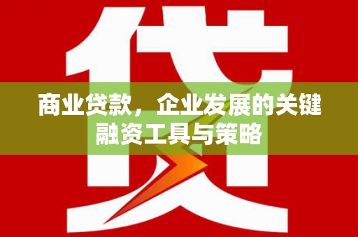镇康商业贷款，企业发展的关键融资工具与策略