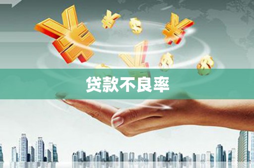 镇康贷款不良率