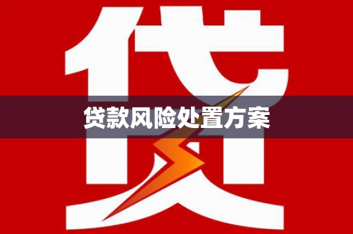 镇康贷款风险处置方案
