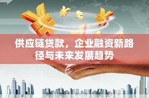 镇康供应链贷款，企业融资新路径与未来发展趋势