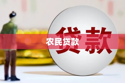 镇康农民贷款