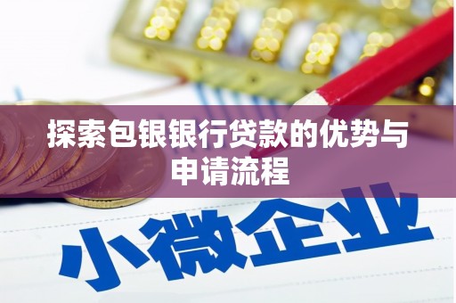 镇康探索包银银行贷款的优势与申请流程