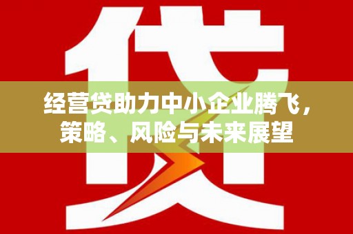 镇康经营贷助力中小企业腾飞，策略、风险与未来展望