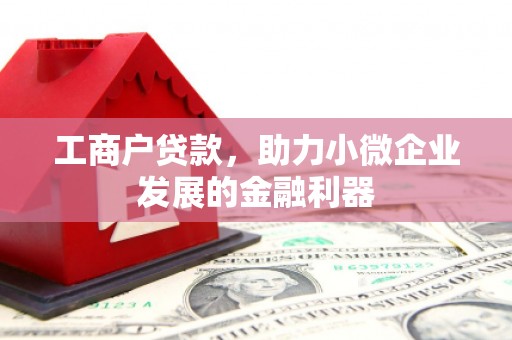 镇康工商户贷款，助力小微企业发展的金融利器