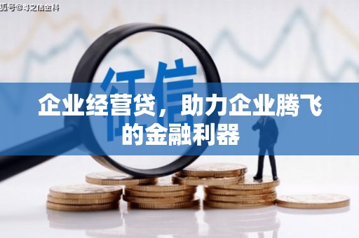镇康企业经营贷，助力企业腾飞的金融利器