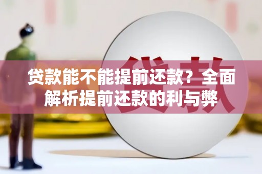 镇康贷款能不能提前还款？全面解析提前还款的利与弊