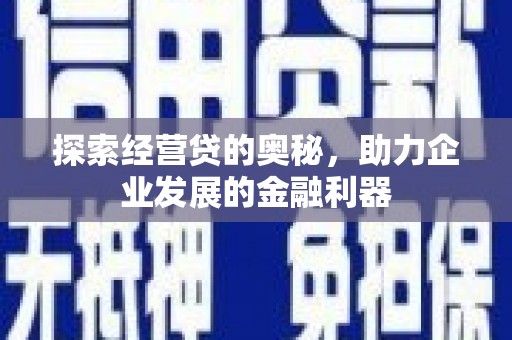 镇康探索经营贷的奥秘，助力企业发展的金融利器
