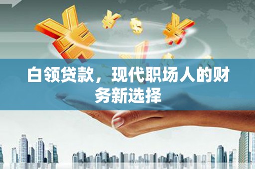 镇康白领贷款，现代职场人的财务新选择