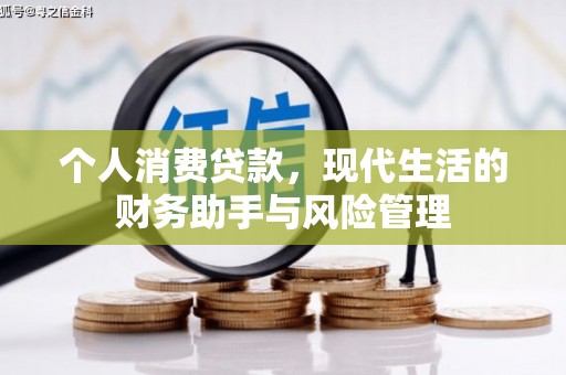 镇康个人消费贷款，现代生活的财务助手与风险管理