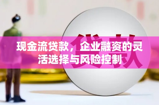 镇康现金流贷款，企业融资的灵活选择与风险控制