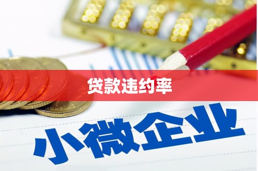 镇康贷款违约率
