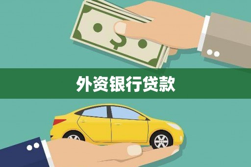镇康外资银行贷款