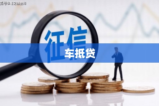 镇康车抵贷