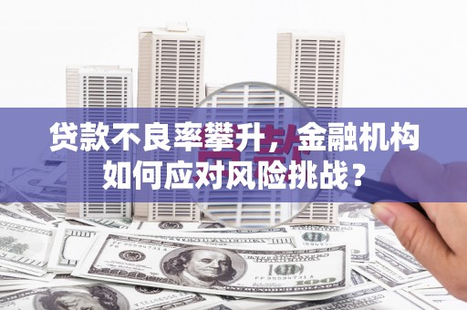 镇康贷款不良率攀升，金融机构如何应对风险挑战？