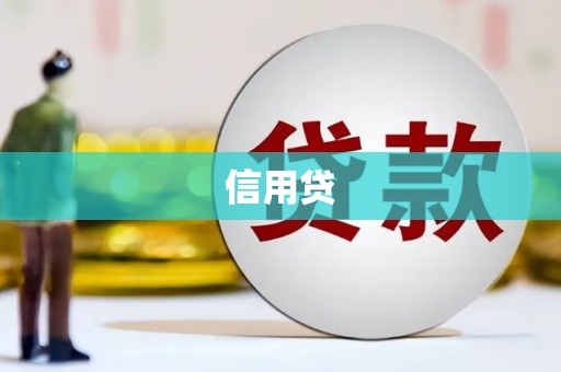 镇康信用贷