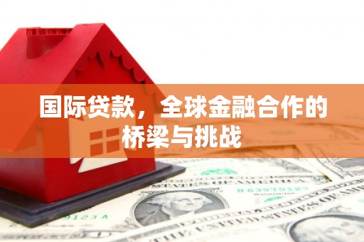镇康国际贷款，全球金融合作的桥梁与挑战