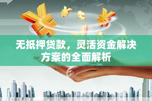 镇康无抵押贷款，灵活资金解决方案的全面解析