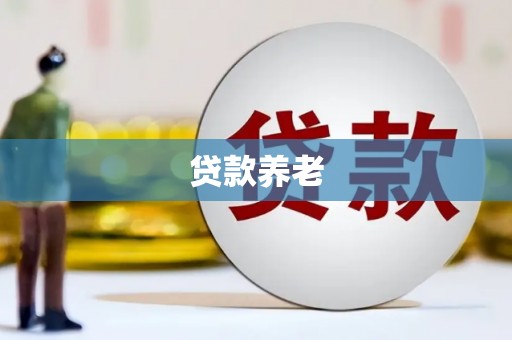 镇康贷款养老