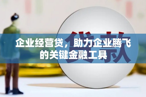 镇康企业经营贷，助力企业腾飞的关键金融工具