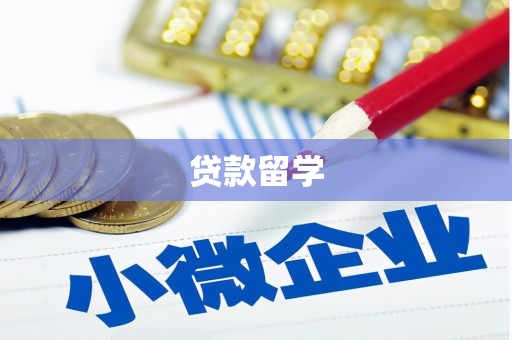 镇康贷款留学