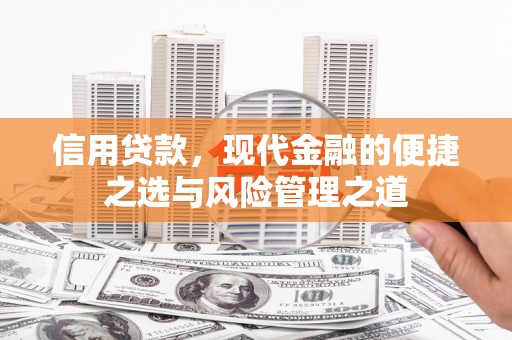 镇康信用贷款，现代金融的便捷之选与风险管理之道