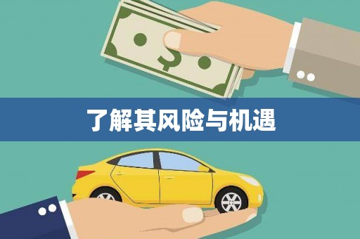 镇康了解其风险与机遇