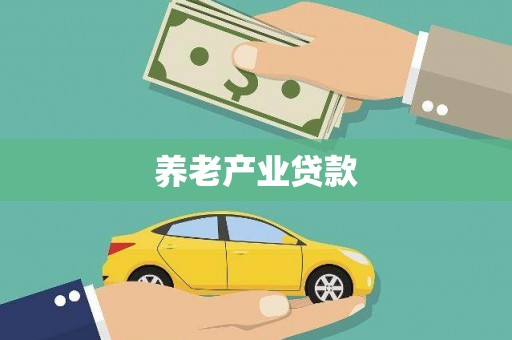 镇康养老产业贷款