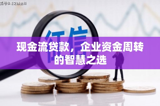 镇康现金流贷款，企业资金周转的智慧之选