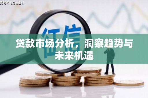 镇康贷款市场分析，洞察趋势与未来机遇