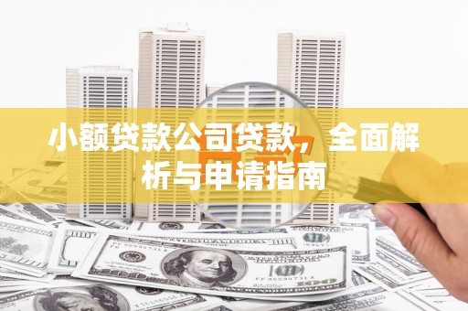 镇康小额贷款公司贷款，全面解析与申请指南