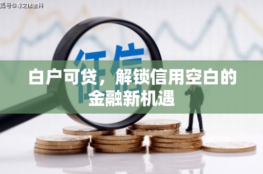 镇康白户可贷，解锁信用空白的金融新机遇