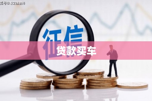 镇康贷款买车