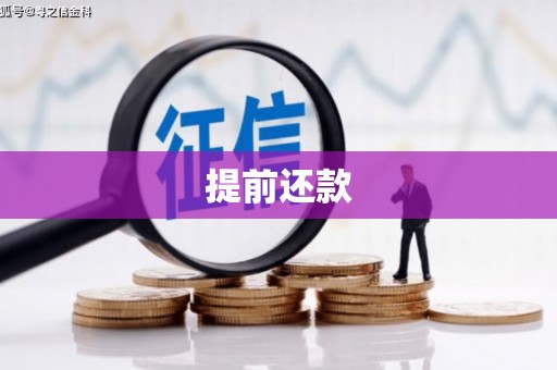 镇康提前还款