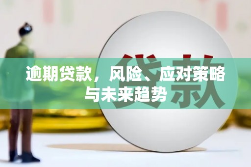 镇康逾期贷款，风险、应对策略与未来趋势